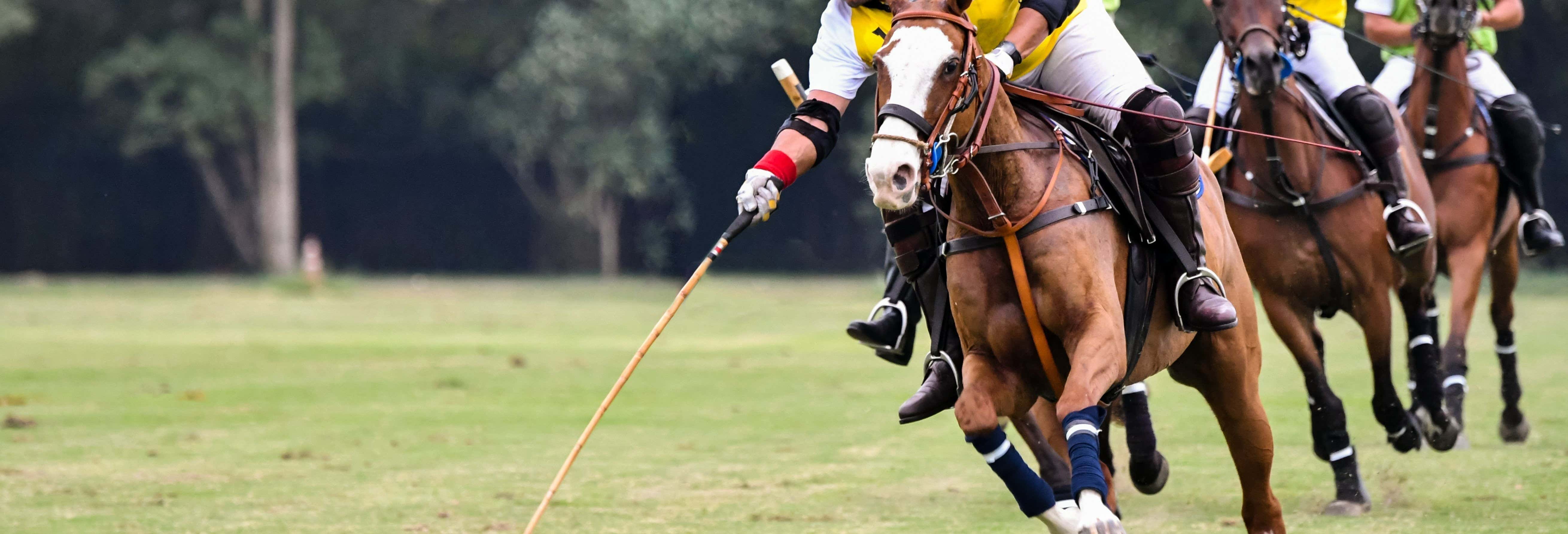 Desportivos em Buenos Aires