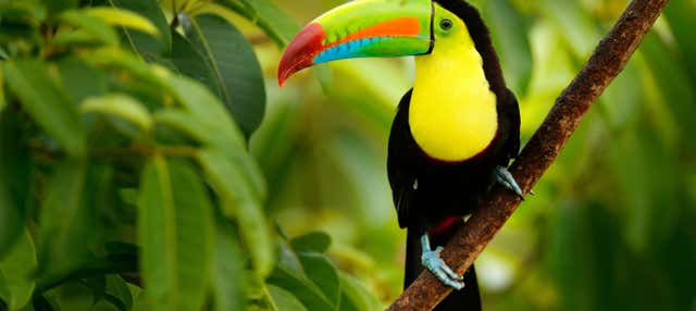 Excursión al Bioparque Temaikèn