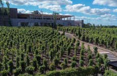 Excursión a la Estancia Vigil