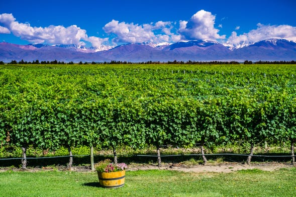 Mendoza Wineries Private Trip