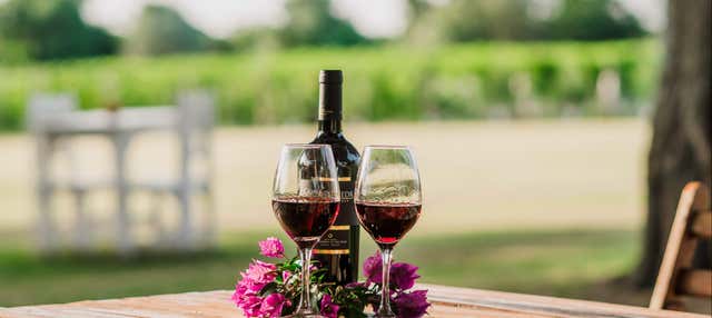 Ferry to Colonia del Sacramento + Winery Visit
