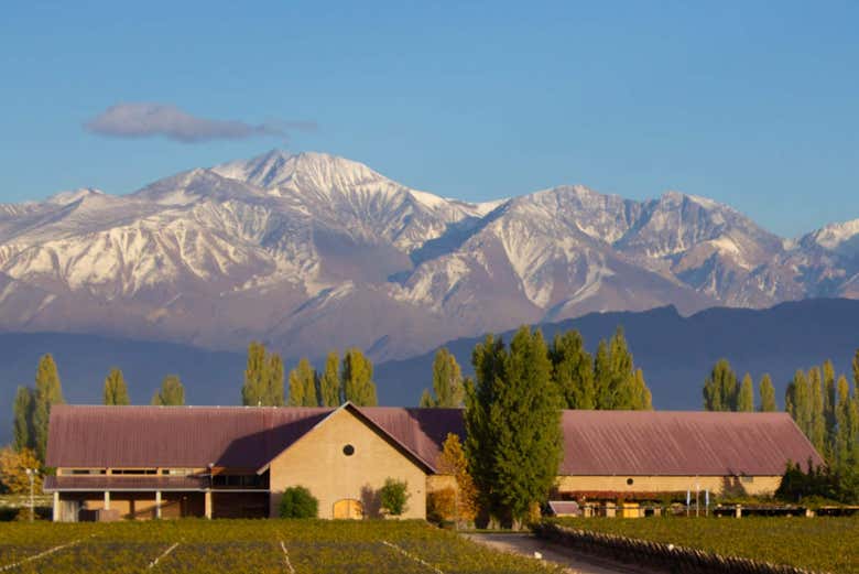 Bodega en Mendoza