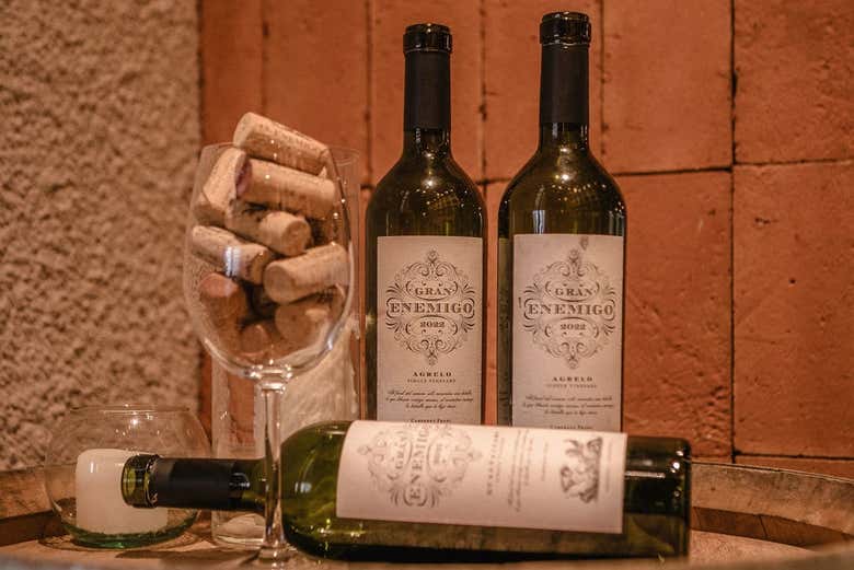 Todo listo para la cata de vinos argentinos