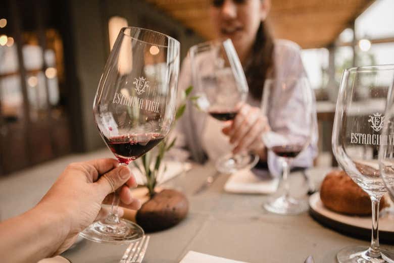 Haremos una cata de vinos argentinos