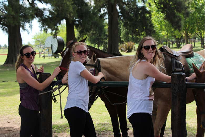 Conociendo a los caballos de polo