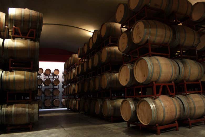 Cava de vinos