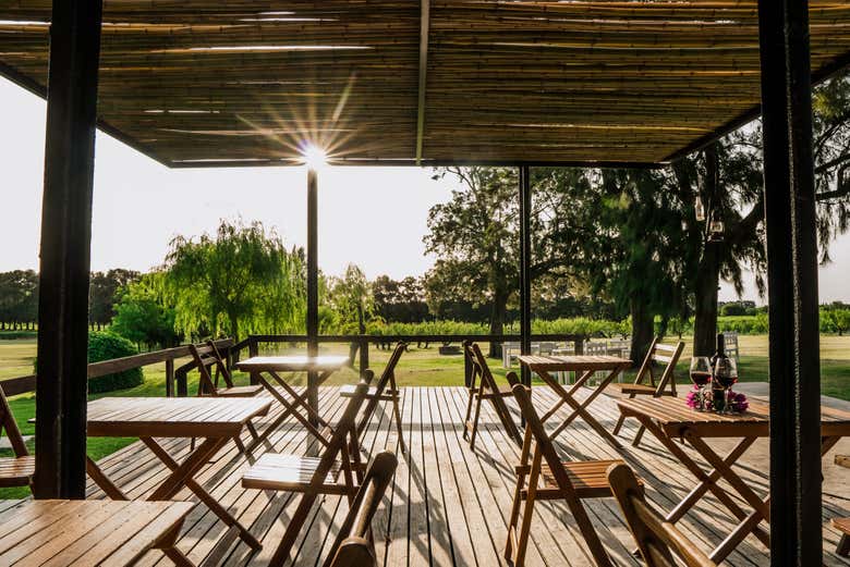 Comeréis al aire libre