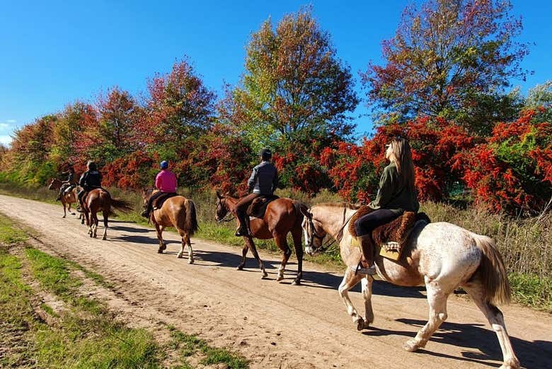 Cavalgando pelas paisagens de Carlos Keen