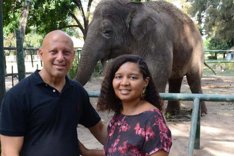 Eléphant du zoo de Lujan