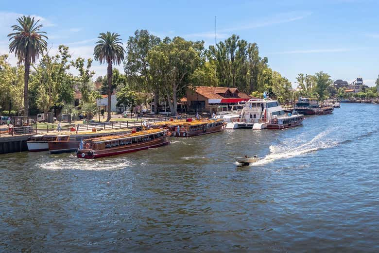 Tigre, no delta do Paraná