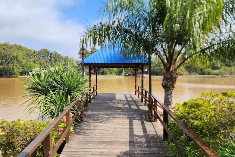 Conociendo una isla en el Delta del Tigre