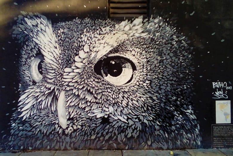 Graffiti of an owl by Paul Mericle