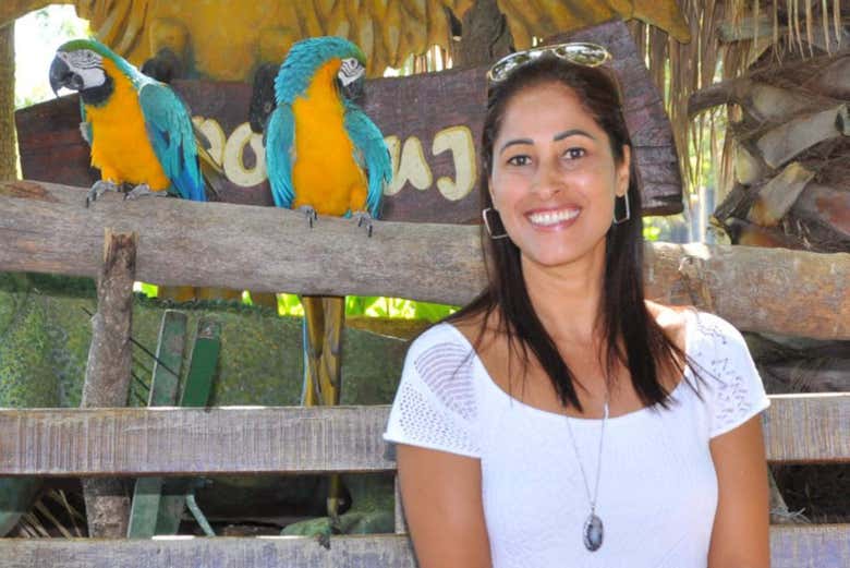 Les aras du zoo de Lujan