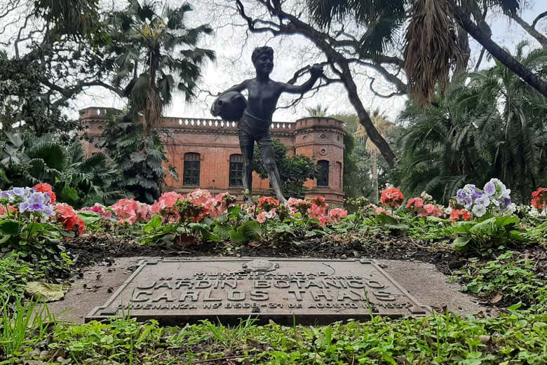 Jardim Botânico Carlos Thays