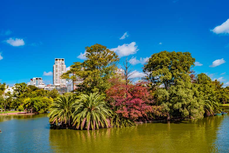 See the best of the Palermo neighbourhood!