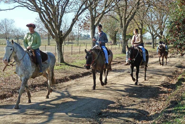 Profiter d'une balade à cheval