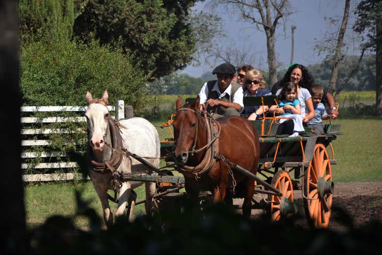 Paseo en carruaje