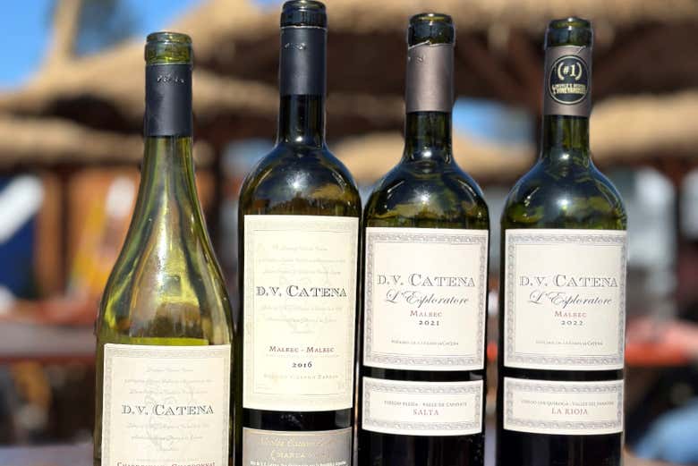 Os vinhos que degustaremos