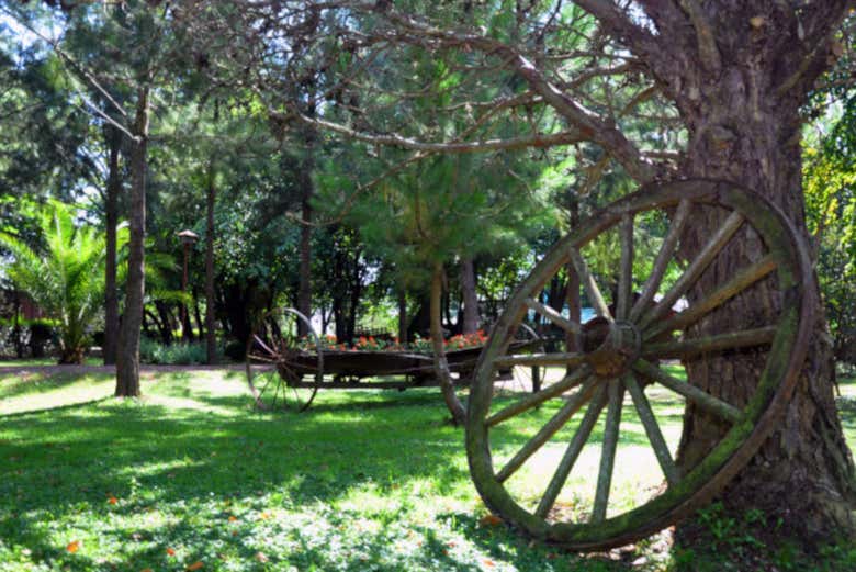 Terrain de Don Silvano