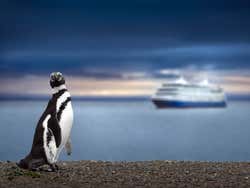 A cruise ship arriving in Patagonia