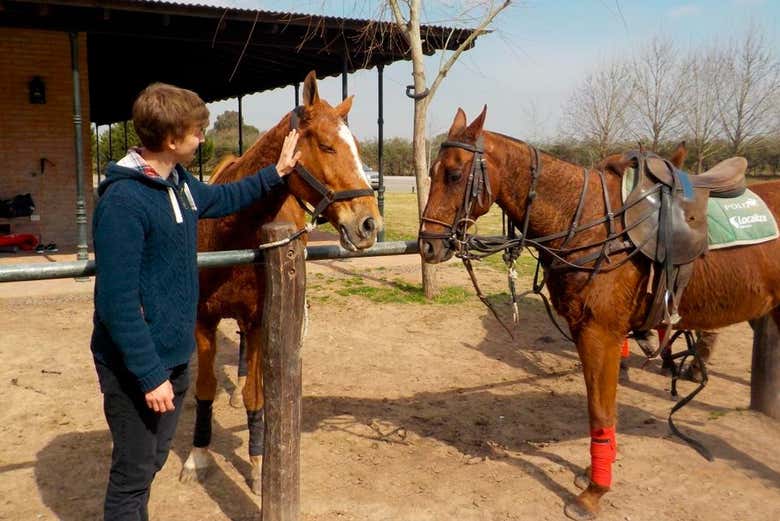 Visitando los establos del club de polo