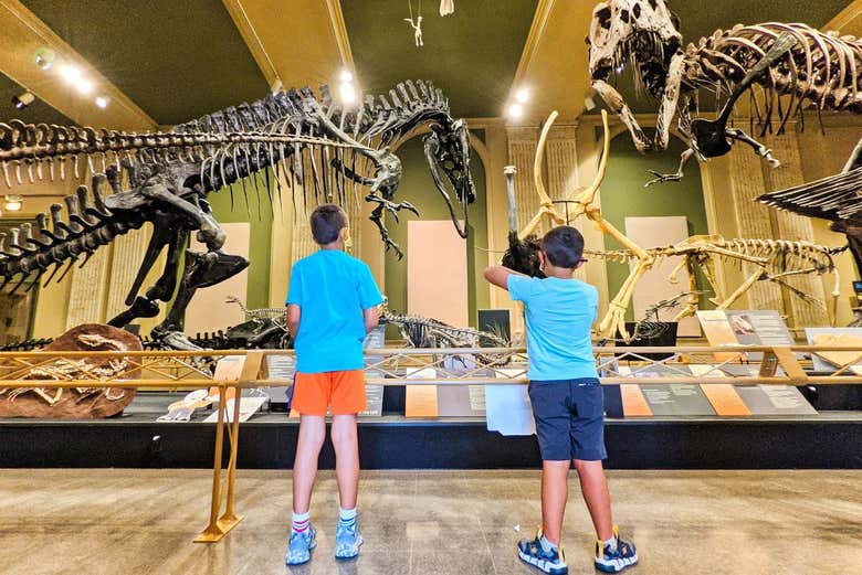 Esqueletos de dinosaurios en el Museo Bernardino Rivadavia