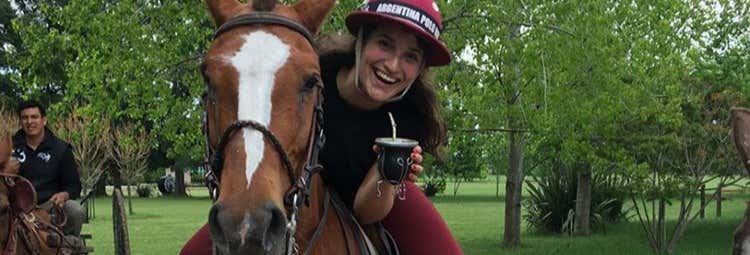 Cavalos em Buenos Aires