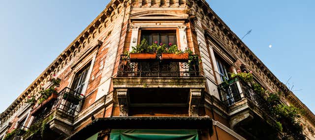 Visita guiada por San Telmo