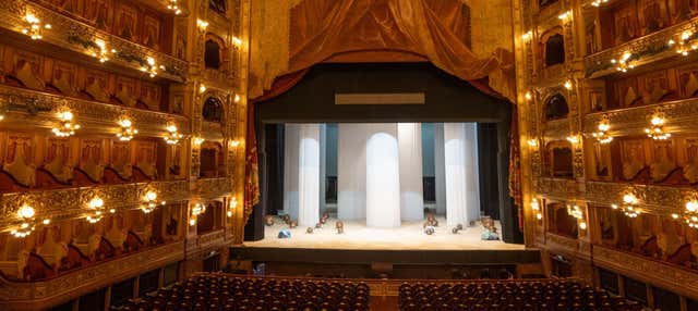 Visita guiada por el Teatro Colón