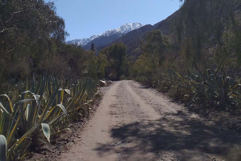 Trilhas naturais com vista para as montanhas