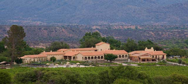 Excursión a la bodega Colomé