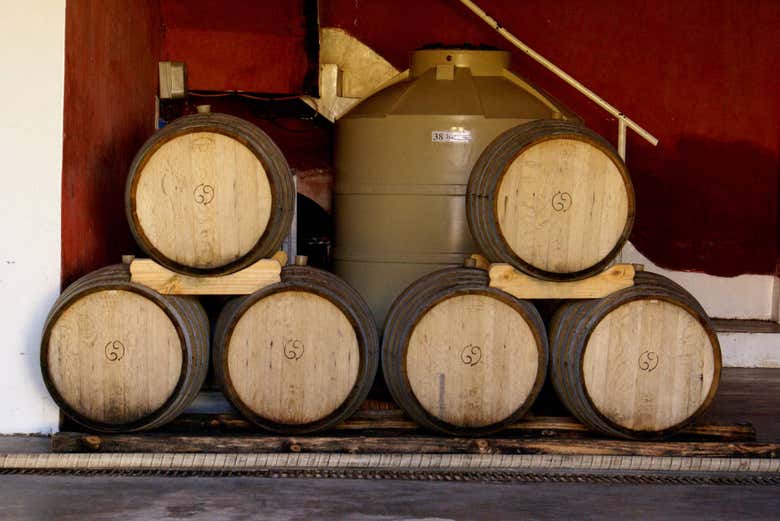 Barricas de vinho