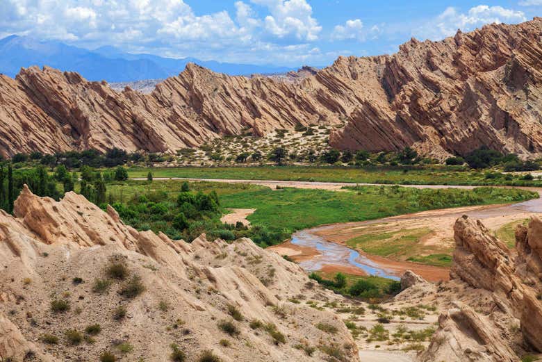 Disfrutando de la excursión