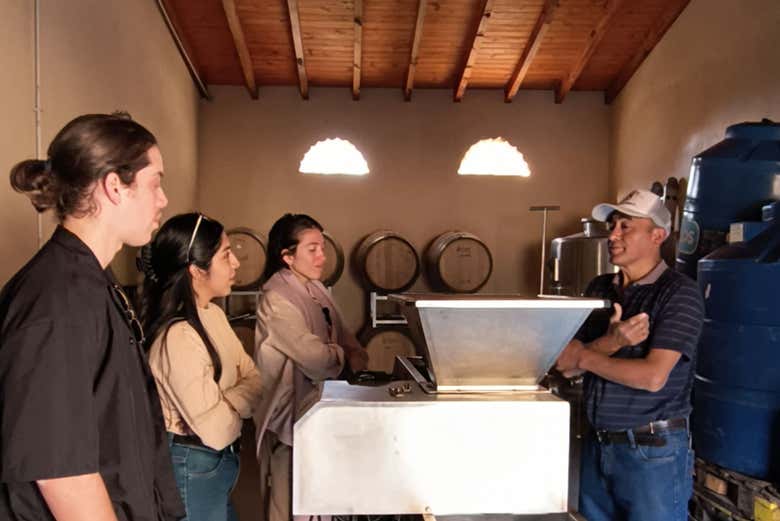 Descubriendo el interior de una bodega de Cafayate