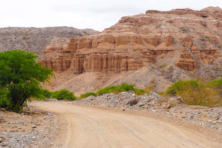 Contemplando las montañas del norte de Argentina