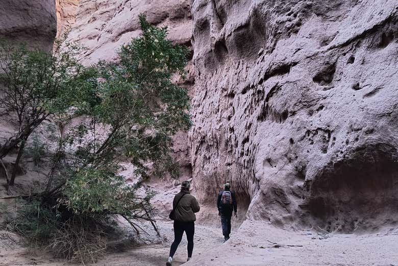 Recorriendo La Yesera