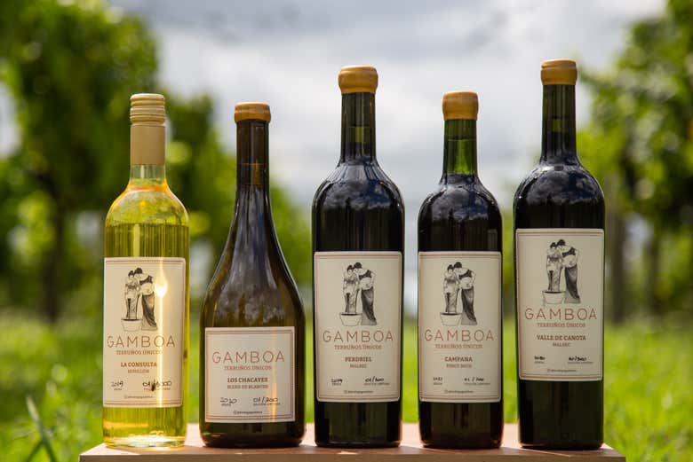 Vinho das adegas Gamboa