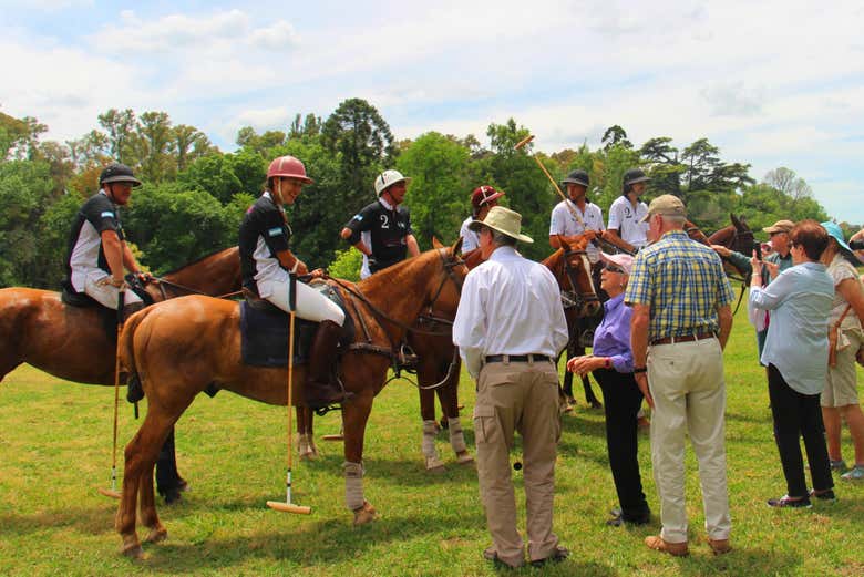 Tutto pronto per la partita di polo
