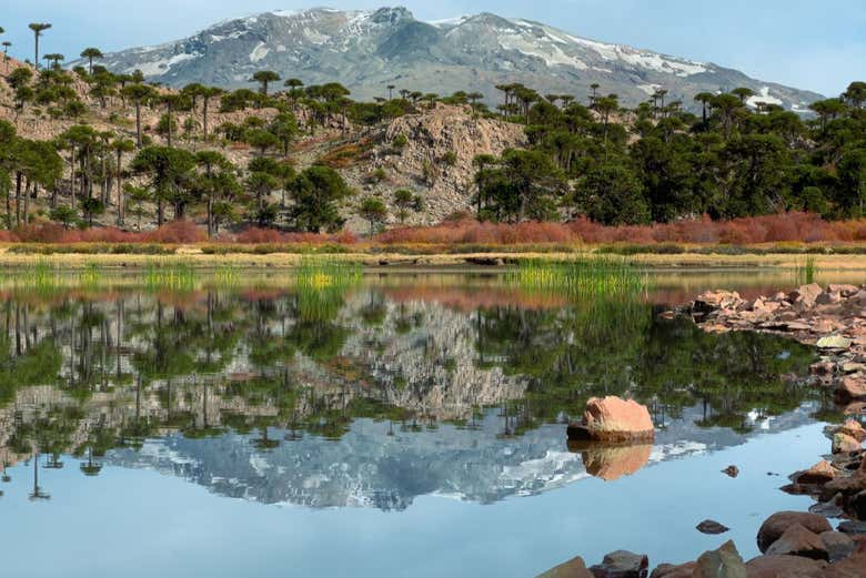 Les eaux tranquilles de la Laguna Escondida