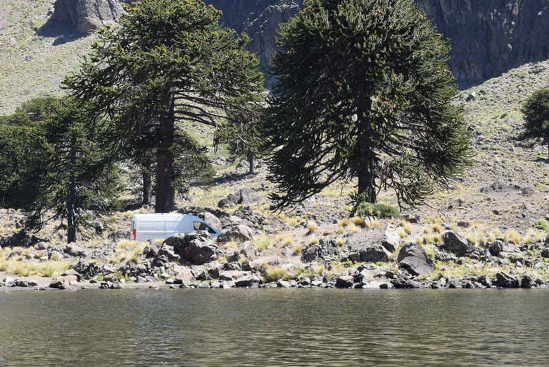 Vegetação que rodeia a lagoa Hualcupén 