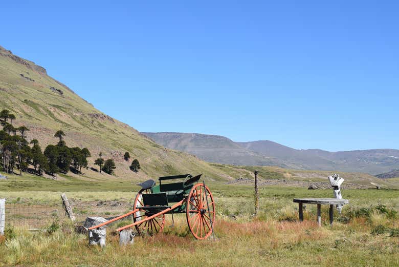 Paisagens durante a excursão