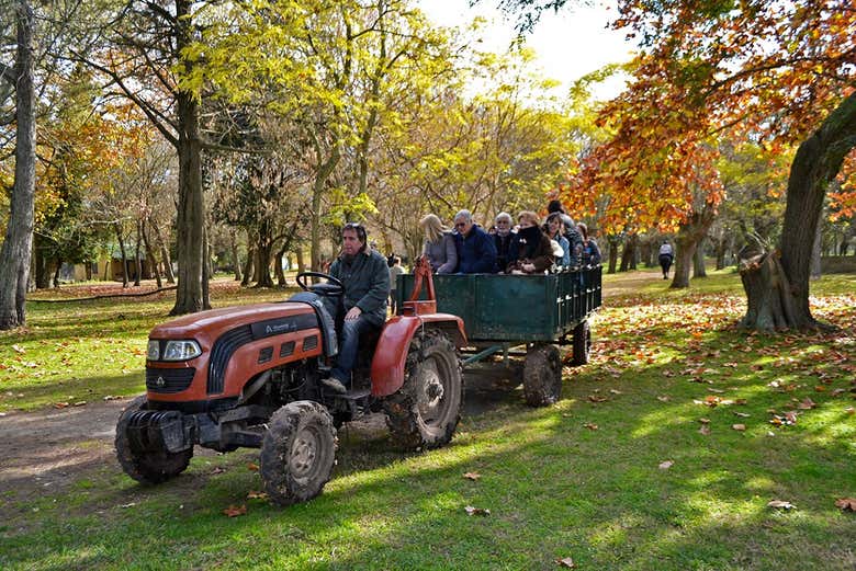 Disfrutando de un paseo en tractor por la estancia