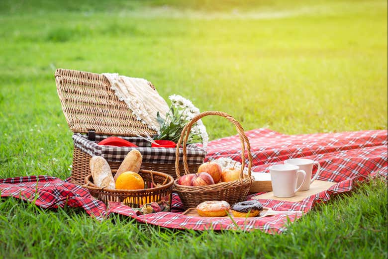 Almoço em plena natureza