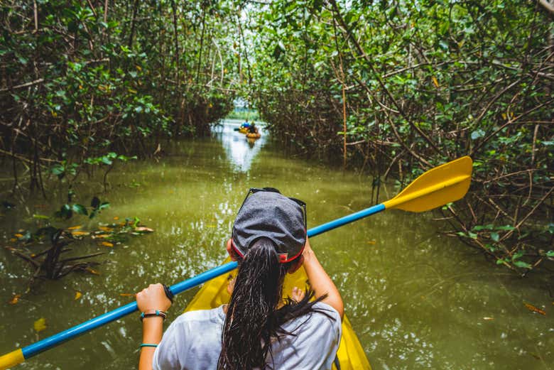 Desfrutando das paisagens do rio Paraguai
