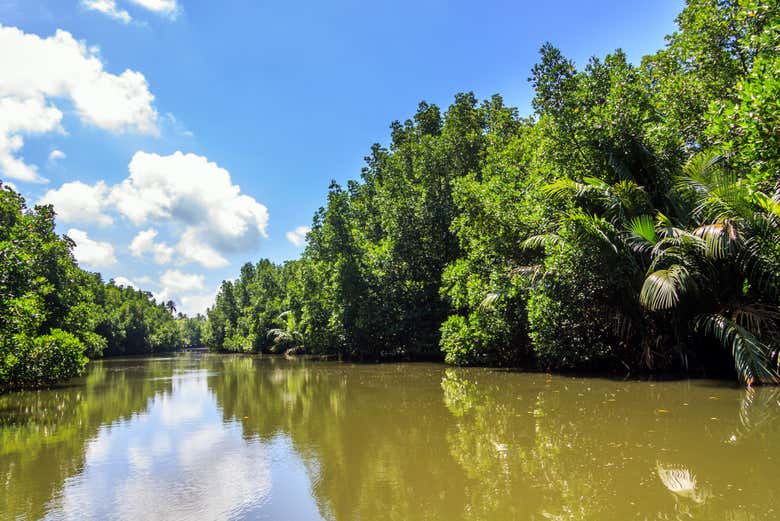 Paisajes del río Porteño
