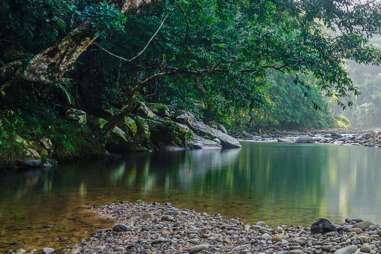 Natureza do rio Paraguai