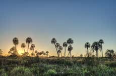 Excursión al Parque Nacional El Palmar