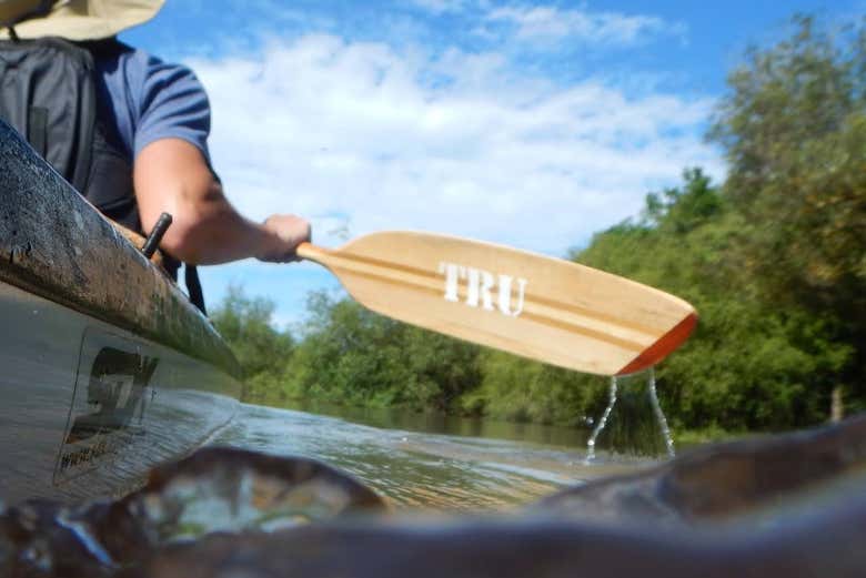 Rowing down the Uruguay River