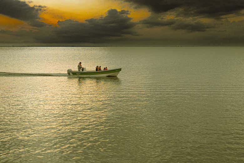 Navegaremos en lancha por la laguna Iberá
