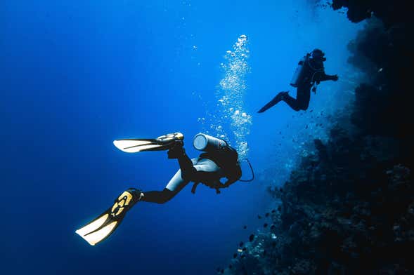 Bautismo de buceo en Comodoro Rivadavia